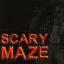 Scary Maze