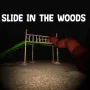 Slide in the Woods