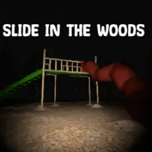 Slide in the Woods